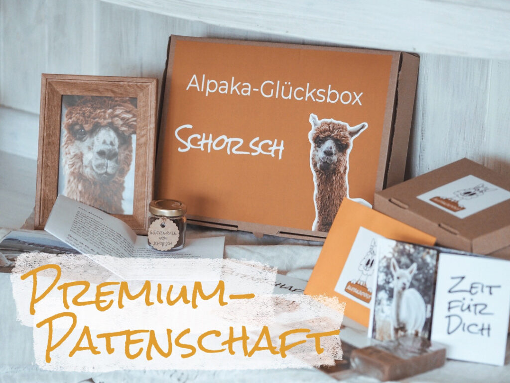 Alpaka Premium-Patenschaft